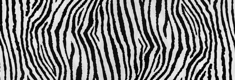 background, pattern, texture, wallpaper, zebra print