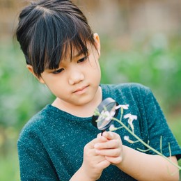 little children play and exploring in garden. concept for learning from nature and outdoor activity for kids.
