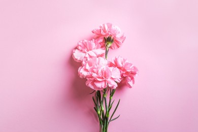pink carnation flowers on pink pastel background. valentines day, mother's day, invitation or greeting card, flat lay, top view.