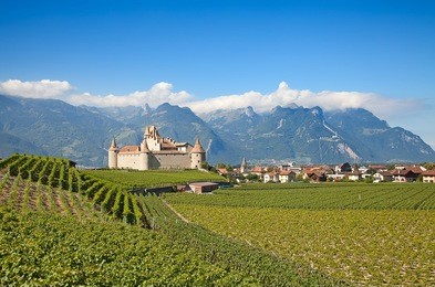 vineyards of the lavaux region over lake leman (lake of geneva)