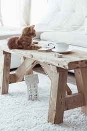 still life details, cup of coffee on rustic bench and a cat lying down on it in white cottage room