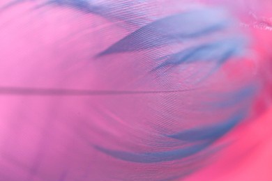feather texture.feather macro background in blue pink colors .beautiful nature background. multicolored blurred background with feathers.