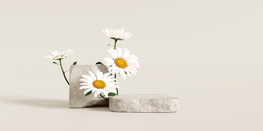 stone podium, cosmetic display stand with daisy blossom flowers on brown background. 3d rendering 