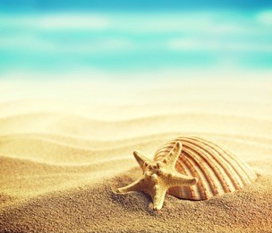 summer concept of sandy beach, shells and starfish. instagram vintage effect