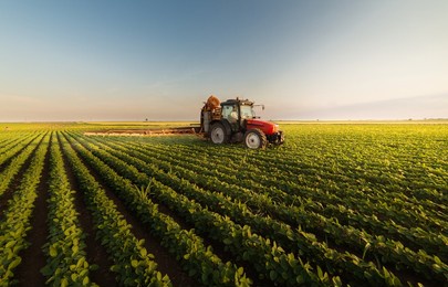 tractor spraying pesticides on soybean field  with sprayer at spring