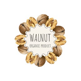 vector walnut label for package. collection with different nuts labels: hazelnut, walnut, pistachio, peanut, brazil nut, cashew, almond. organic and natural food. craft background