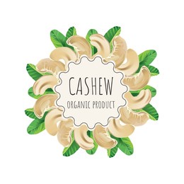 vector cashew label for package. collection with different nuts labels: hazelnut, walnut, pistachio, peanut, brazil nut, cashew, almond. organic and natural food. craft background