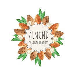 vector almond label for package. collection with different nuts labels: hazelnut, walnut, pistachio, peanut, brazil nut, cashew, almond. organic and natural food. craft background