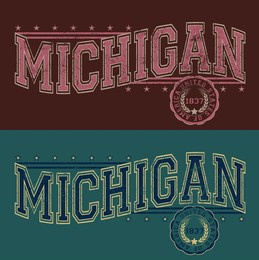 vintage typography college varsity state slogan print with grunge effect for graphic tee t shirt or sweatshirt - vector
