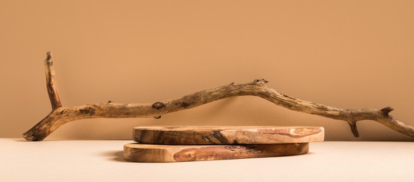 wood pieces podium with stones and branches decorations. background for perfume, jewellery and cosmetic products. front view.