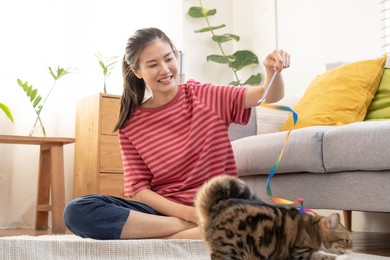 recreation, beautiful owner kitten asian young woman, girl happy face in free time in casual holding toy playing with lovey cat, sitting on carpet in living room while rest at her home or apartment.