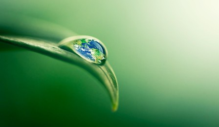 water gives life. closeup shot of a water droplet on a leaf.