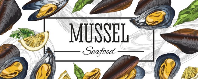 mussel banner or menu template hand drawn colorful vector illustration. seafood restaurant menu layout or packaging label design with fresh mussels clams.
