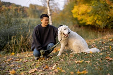 pleased asian man sitting, caressing his maremmano-abruzzese sheepdog while resting in nature at sunny autumn day. concept of rest and weekend in nature. adult male wearing boots and warm clothes