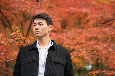 one handsome asian young man with blur red maple trees in autumn