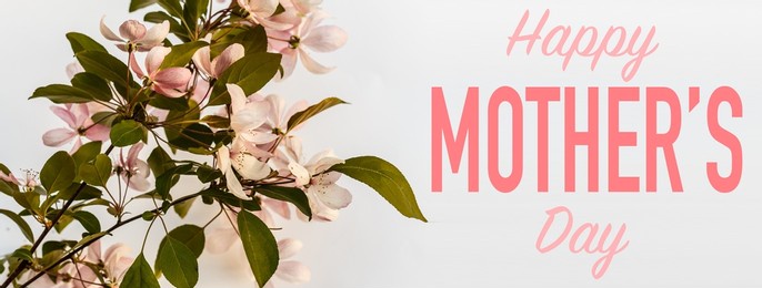 composition of spring flowers and the inscription happy mother's day. advertising content for mother's day. flat lay, top view, close up, copy space
