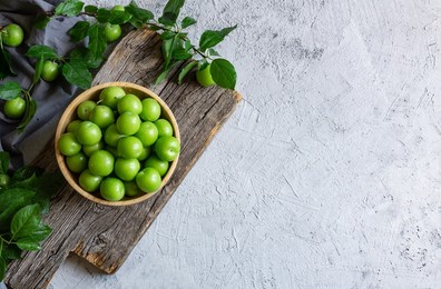 fresh ripe organic green plums or greengage in bowl on white rustic background, heap of summer fruits concept