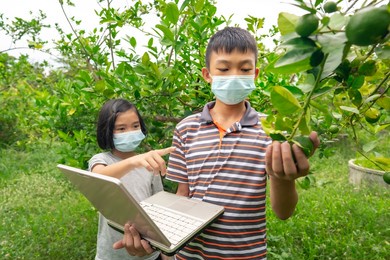 children learning and working in lemon organic garden in rural
