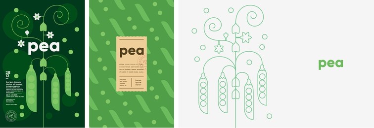 pea. food and natural products. set of vector illustrations. geometric, simple, linear style. label, cover, price tag, background.