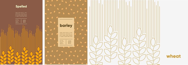 barley, wheat, spelt. food and natural products. set of vector illustrations. geometric, simple, linear style. label, cover, price tag, background.
