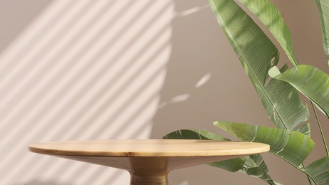 realistic 3d render background for products overlay. close up of round empty oak wood table with sunlight with tropical leaves plants. organic beauty, natural concept. mock up, podium, spa, sunscreen.