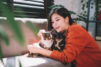 beautiful asian woman grooming dog hair with love , puppy care, pets lover concept.