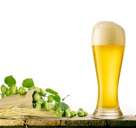 the main brewery ingredients- are ripe hop cones and barley ears on a rustic wooden table surface, in front of white background. oktoberfest beer concept. product display with copy space.