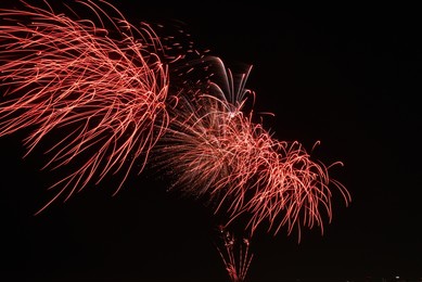 fireworks with a dark black background, bright beautiful colorful firework. colored firework lights in the night sky. chicago holiday firework. festive firework concept night great