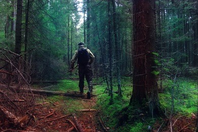 traveler in autumn mystical forest view from the back