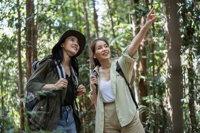 asian friend girls backpacker friend travel in forest wild together. attractive young women couple traveler walk and exploring nature wood with happiness and fun during holiday vacation trip on summer
