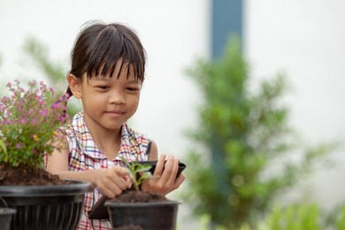 a cute and smiling asian thai kid girl aged 4 to 6 years old with a tablet in hand. have fun and learn about planting trees and nature outdoors. there was a plant pot and a pile of soil in front.