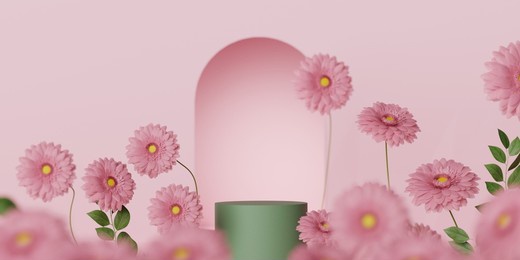 3d display podium pastel pink daisy flower background. gerbera blossom. nature minimal pedestal beauty, cosmetic product presentation. feminine green copy space template 3d render