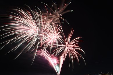fireworks with a dark black background, bright beautiful colorful firework. colored firework lights in the night sky. chicago holiday firework. festive firework.  concept night. 