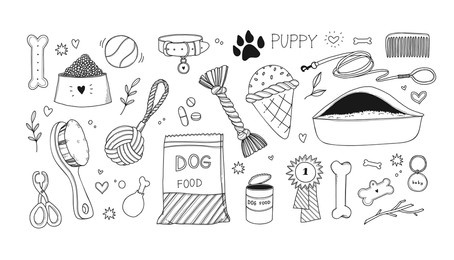 hand drawn vector illustration of dog accessories. pet objects: leash, collar, charm, dog food, toys. graphic perfect for stickers, logo, advertising, blogs