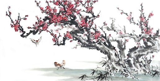 plum blossom on white background-traditional chinese painting.
