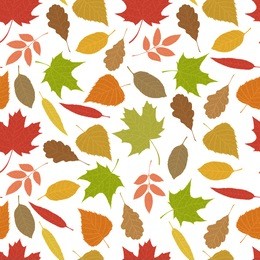 seamless pattern of autumn leaves. various veined leaves on white background.