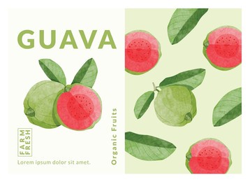 guava fruit packaging design templates, watercolour style vector illustration.