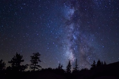 row of evergreen trees in front of the milky way at glacier point in yosemite national park