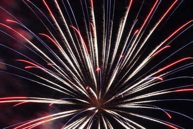 large red white and blue fireworks exploding 
