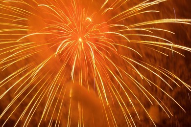 large and bright orange and gold exploding fireworks in the sky