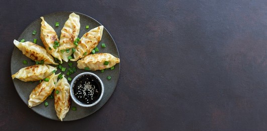 fried dumplings with soy sauce. gyoza. healthy eating. asian food