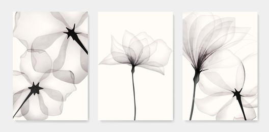 black and white luxury watercolor art background with transparent x-ray flowers. ink botanical design for interior design, decor, packaging, invitations, print