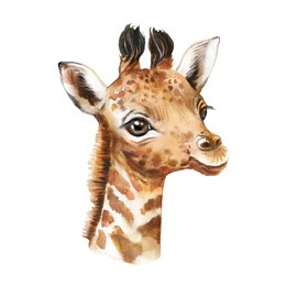 giraffe watercolor painting, naturalistic giraffe painting, giraffe head, cute little giraffe, african animal wall art