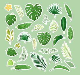 tropical leaves stickers. vector set of exotic leaves, jungle plants with palm, monstera, plumeria flowers, calathea, philodendron, banana leaf. nature botanical decorative collection. hawaiian plants