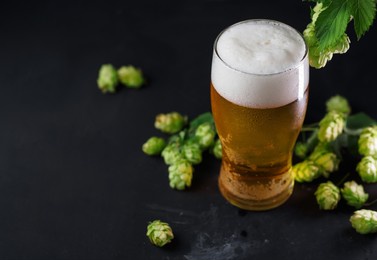 glass of light cold beer in drops of water on a black table and green hops. copy space