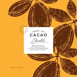 cocoa bean textured illustration. vintage style design template. chocolate cacao bean