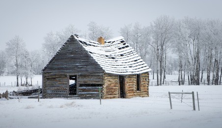 a view of an old abandoned cabin house in the field covered with snow in the background of leafless trees 