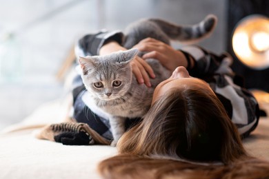 cat and girl close-up. hands holding british gray pet in the room. concept zoo goods
