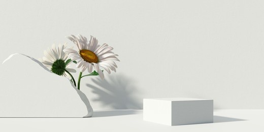 stone podium, cosmetic display stand with daisy blossom flowers on white background. 3d rendering	
