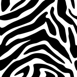 seamless zebra texture background for textile, wrapping paper, background
